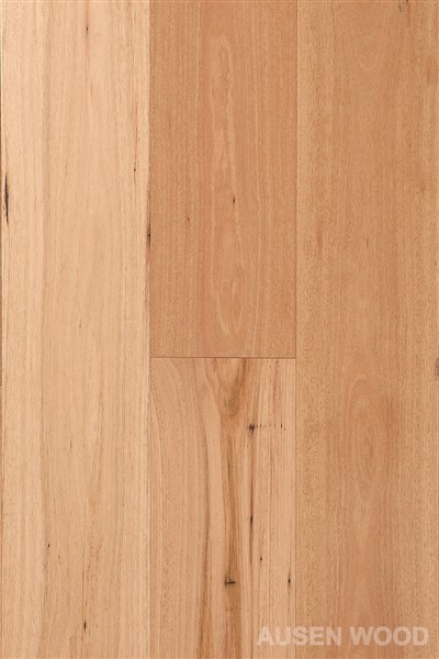 Gordon-Flat Blackbutt Plank